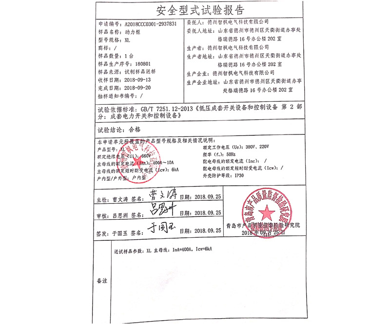安全試驗報告